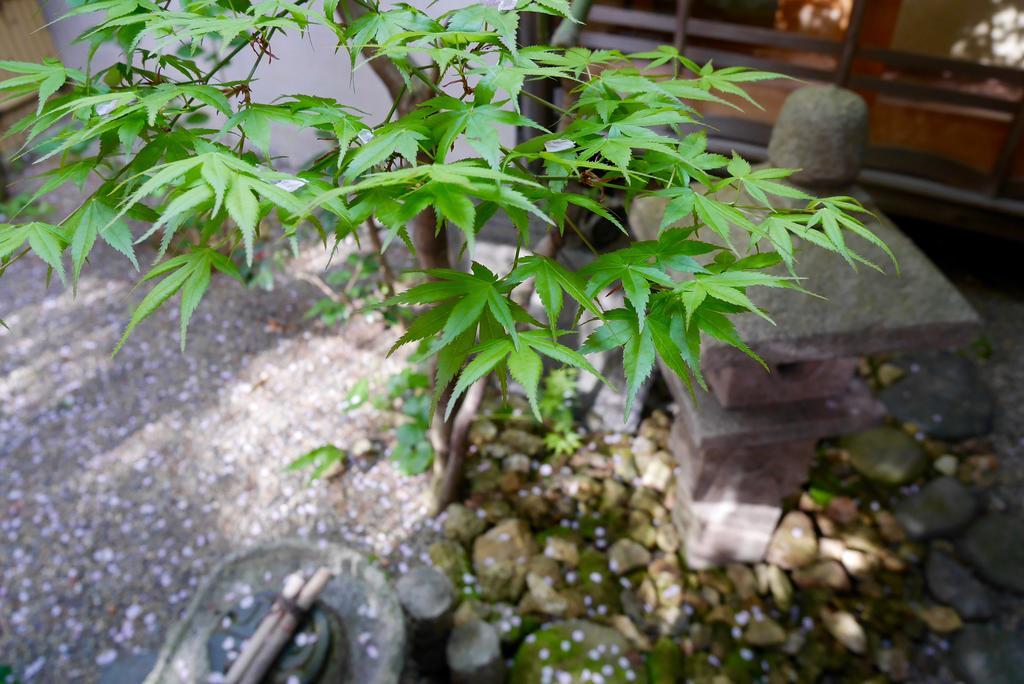 100 Years Old Traditional Kyoto Machiya Townhouse - K'S Villa Exteriör bild